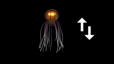 Movement A good animation will greatly improve your visual